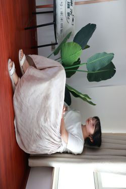 丝恋摄影 No.001 小梦 – 乐福鞋 厚白丝(243P)