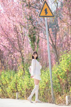 物恋传媒 No.2221 小影 -未来的诗(160P)
