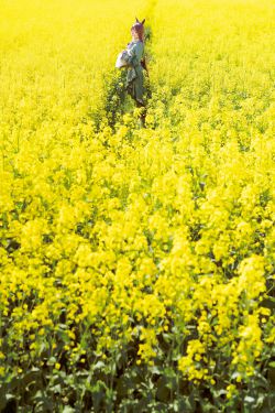 [ROSI写真] 2024.10.24 NO.4707(71P)